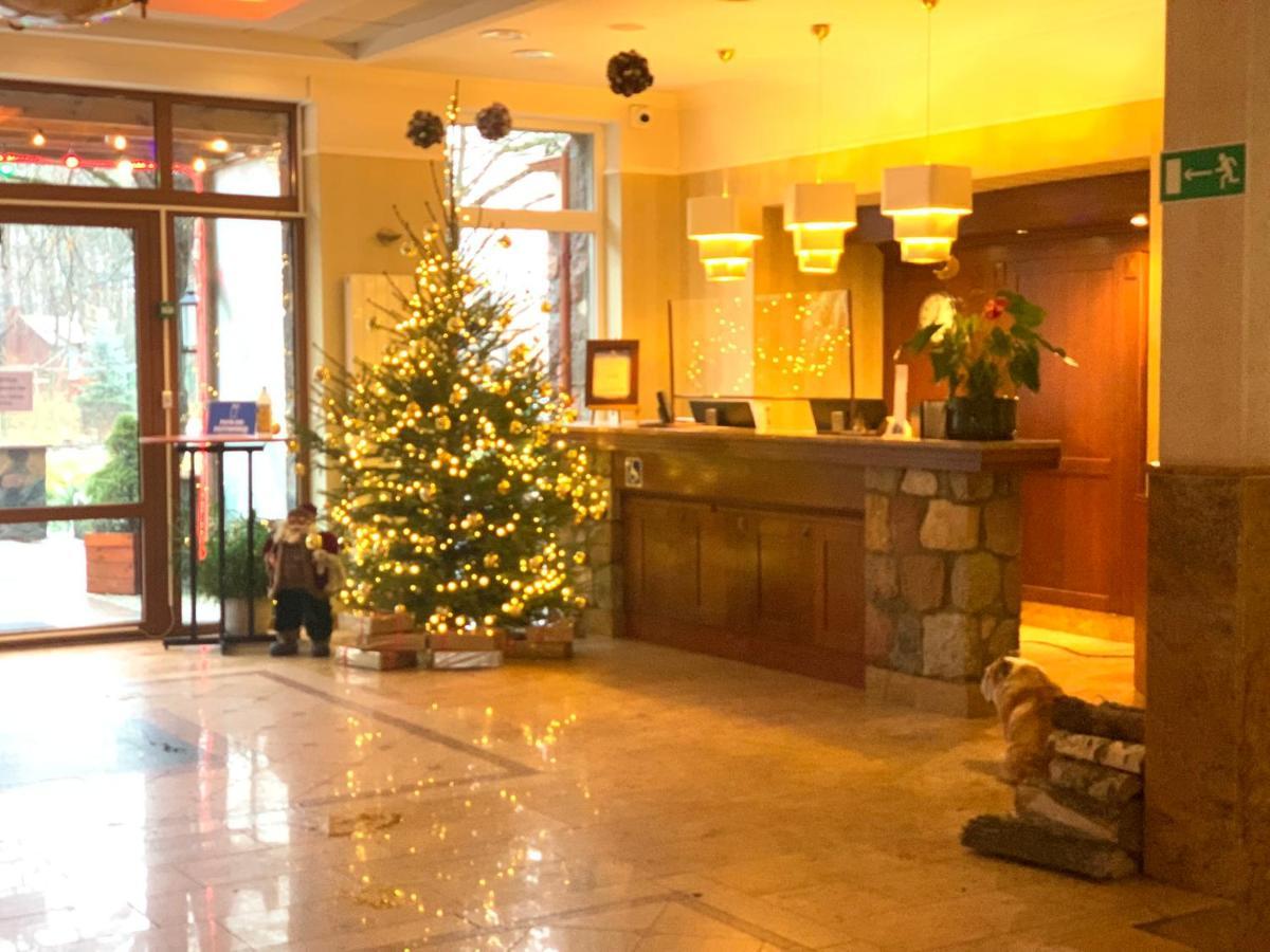 Hotel Albatros Serwy Luaran gambar